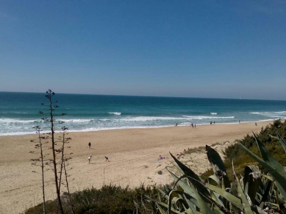 Casa "El Pinar" Villa Chiclana de la Frontera Kültér fotó